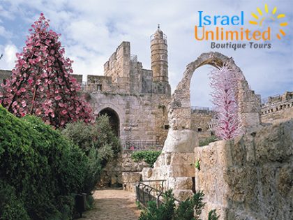 Israel Unlimited
